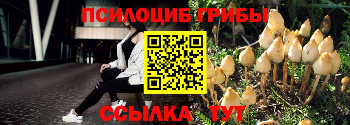 Галлюциногенные грибы ЛСД Кимры